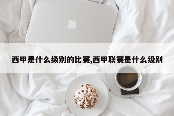 西甲是什么级别的比赛,西甲联赛是什么级别
