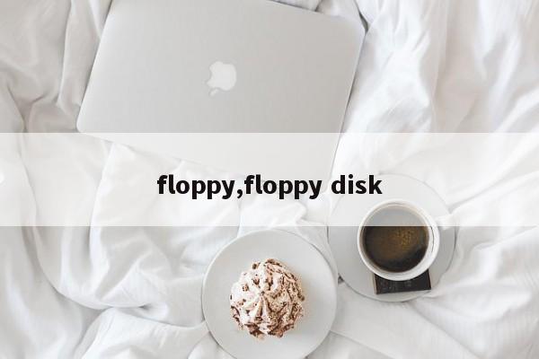 floppy,floppy disk