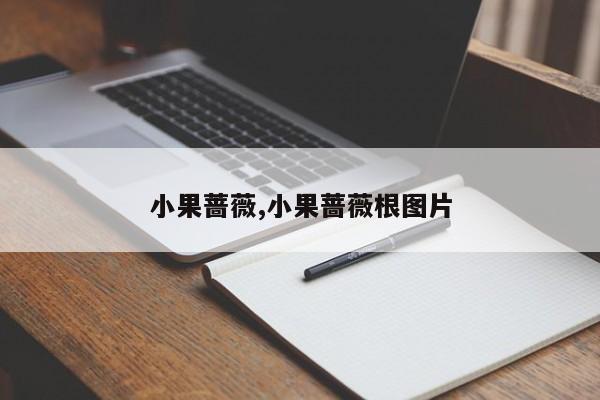 小果蔷薇,小果蔷薇根图片