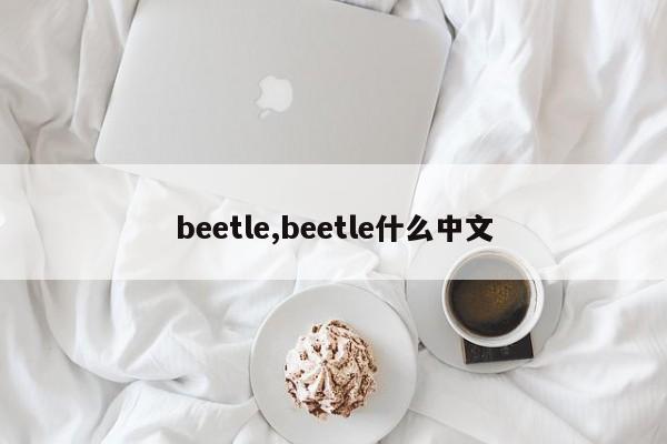 beetle,beetle什么中文