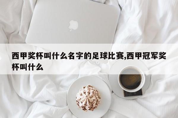 西甲奖杯叫什么名字的足球比赛,西甲冠军奖杯叫什么