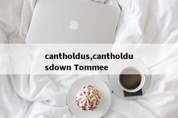 cantholdus,cantholdusdown Tommee
