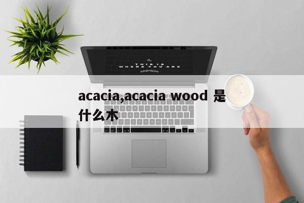 acacia,acacia wood 是什么木